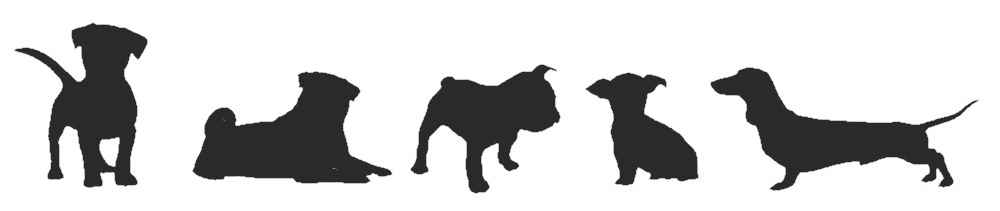 dogs littlebones